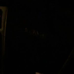 Meet your Posher, George